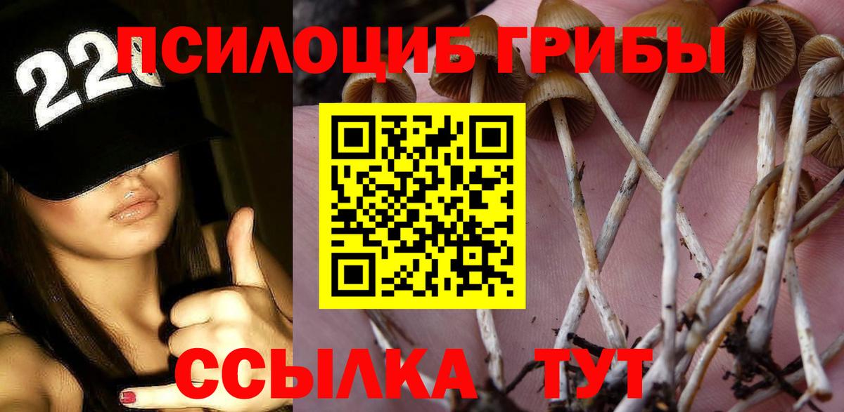 Псилоцибиновые грибы ЛСД  Вход с VPN  Котовск 