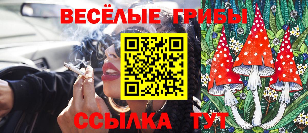 Галлюциногенные грибы Cubensis Котовск