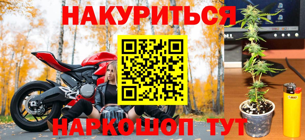 Шишки марихуана марихуана Котовск
